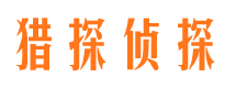 大邑市调查公司